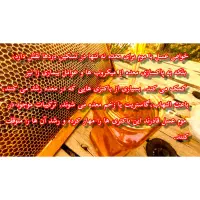 عسل چهل گیاه با نتیجه آزمایش پرولین و ساکارز|خوردنی و آشامیدنی|شیراز, ماه فیروزان|دیوار