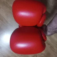 دستکش بوکس|تجهیزات ورزشی|تهران, شهرک پرواز|دیوار