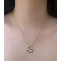 ۳۰ درصد تخفیف از سود به مناسبت روز مادر(۳روز)|جواهرات|شیراز, ملاصدرا|دیوار