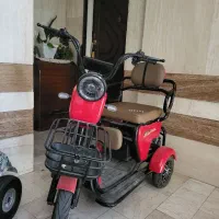 سه چرخه برقی بزرگسال