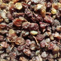 کشمش آفتابی اعلا