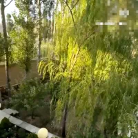 زمین و باغ ویلایی بر جاده در آرپا دره سی