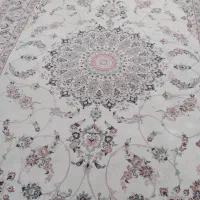 ۳ تا فرش ۶ متری سالم وشسته شده توسط قالی شویی|فرش|رشت, پستک|دیوار