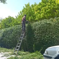 خدمات باغبانی اصفهان|خدمات باغبانی و درختکاری|اصفهان, اصفهانک|دیوار