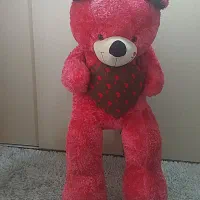 خرس بزرگ ۱۶۰ سانتی