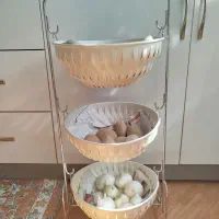 جاسیب زمینی