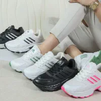 تولید پخش کفش زنونه|کیف، کفش، کمربند|ماسال, |دیوار