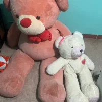 خرس ۱.۳۰۰متری