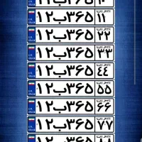 دریافت پلاک تهران