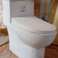 توالت فرنگی  ottis