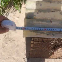 قفس مرغ،جنس محکم ودست ساز|لوازم جانبی حیوانات|گوآور, |دیوار