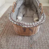 تخت حصیری کودک