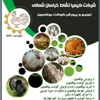 نیازمندنیروخانم مجرب  باروابط عمومی بالا