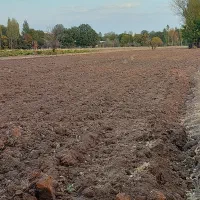 زمین زراعی خوش موقعیت