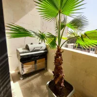 پیش فروش دانش آموز 150متر*تحویل 4ماهه*|پیش‌فروش املاک|مشهد, سید رضی|دیوار