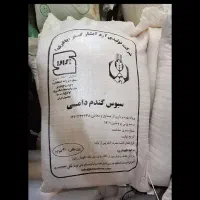 خوراک دام گمشده