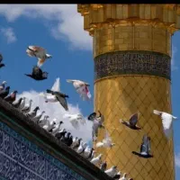 تور کربلا با VIP اقساطی حرکت ۲۵اردیـبهشت دلـارام