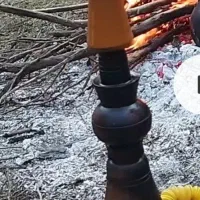 دوسیب سالم|کلکسیون و سرگرمی|آزادشهر, |دیوار