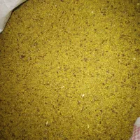 بذر یونجه یا تخم یونجه