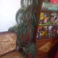گل  مصنوعی