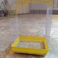 تعدادی وسایل و قفس|فعالیت داوطلبانه تحقیقاتی|سراوان, |دیوار