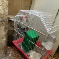 قفس کلبه ای پرنده