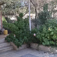 فروش باغ ویلا ۳۵۰ متری|فروش خانه و ویلا|طارم (زنجان), |دیوار