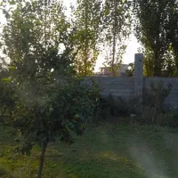 باغ مرکبات|فروش زمین و ملک کلنگی|هادی شهر, |دیوار