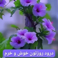 مشاوره/ تدریس تقویتی و کنکوری تضمینی