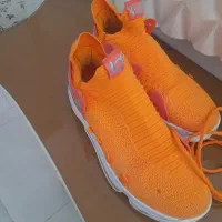 کفش مارک دار