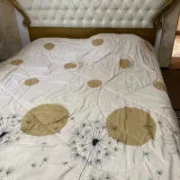 تخت دونفره همره تشک طبی فنری