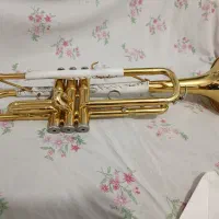 ترومپت یاماها|سازهای بادی|اصفهان, شفق|دیوار