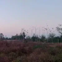 450متر-زمین-همراه-با-مجوز-ساخت