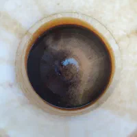 شیره خرمای کبکاب