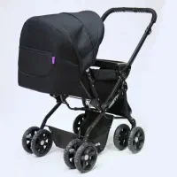 کالسکه دلیجان|کالسکه و لوازم جانبی|مهاباد (آذربایجان غربی), |دیوار