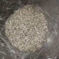 خوردنی|حراج|قم, شهید صیاد شیرازی|دیوار