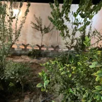 خونه باغ ویلایی اول جاده قمصر روبروی اولین بریدگی|فروش خانه و ویلا|قمصر, |دیوار