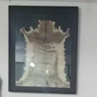 تابلو پوست آهوایت الکرسی