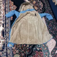 کاپشن اسپرت|لباس|بیستون, |دیوار