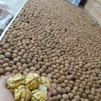 گردو و عسل درجه یک