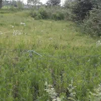 زمین-مسکن-ویلایی-در-مرداب-انزلی-وابسته-ب-صعومه-را