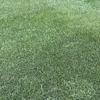 چمن مصنوعی کارکرده|مصالح و تجهیزات ساختمان|رباطکریم, نصیرشهر|دیوار