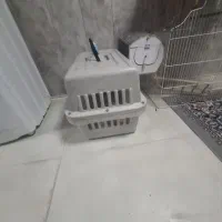باکس حمل سگ و قفس پرنده