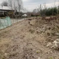 ۳۰۰مسکونی مناسب خیابان لاهیجان ابتدا محل گورابسر|فروش زمین و ملک کلنگی|رشت, بیجارپس|دیوار