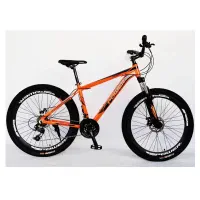 دوچرخه27نیم با سند