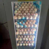 دستگاه جوجه کشی اتوماتیک ارسال به شهرستان ،روستاها