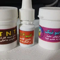 جفت مرغ عشق سالم|پرنده|سنندج, |دیوار