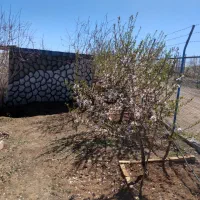 زمین-کشاورزی