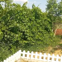باغ سند دار روبه روی زیباشهر