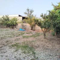 اجاره زمین 1000 متری مناسب کافه لاهیجان دیزبن|اجارهٔ مغازه و غرفه|لاهیجان, لیالستان|دیوار